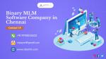 Binary MLM software development company - Services advertisement in Chennai